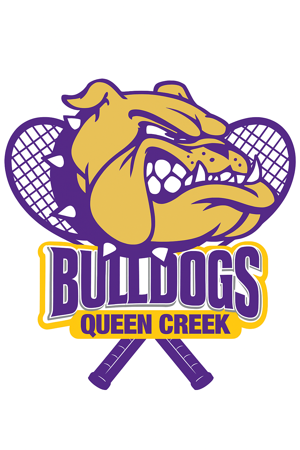 Queen Creek High School
